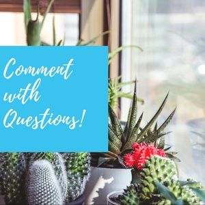Comment with Questions! 🌿